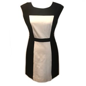 LOFT Stripe Panel Ponte Shift Monochromic Dress